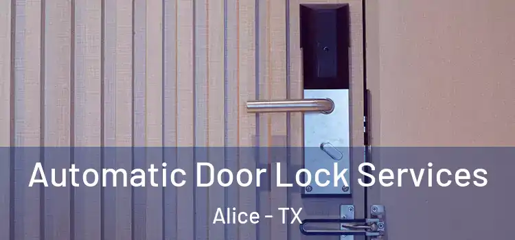 Automatic Door Lock Services Alice - TX