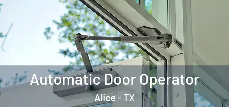 Automatic Door Operator Alice - TX