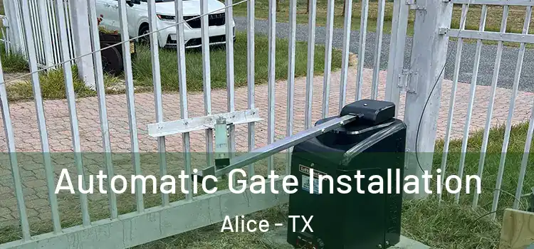 Automatic Gate Installation Alice - TX