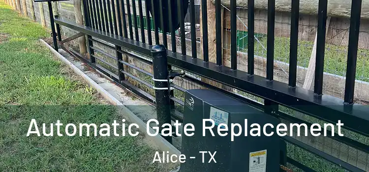 Automatic Gate Replacement Alice - TX