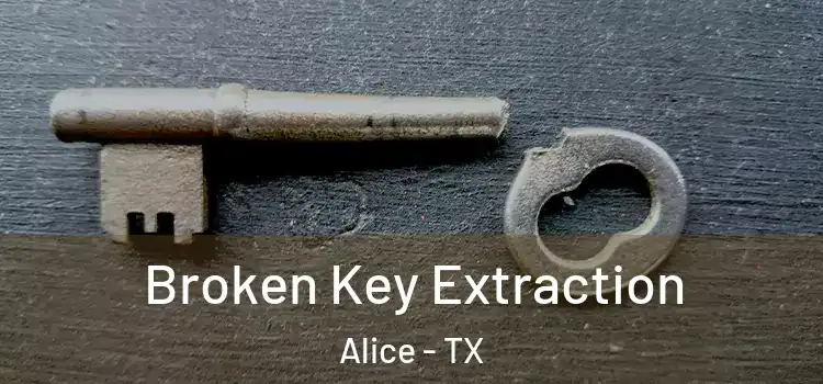 Broken Key Extraction Alice - TX