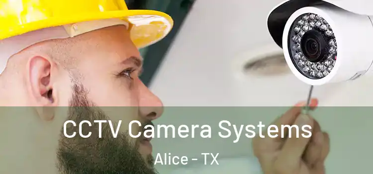 CCTV Camera Systems Alice - TX