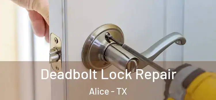 Deadbolt Lock Repair Alice - TX