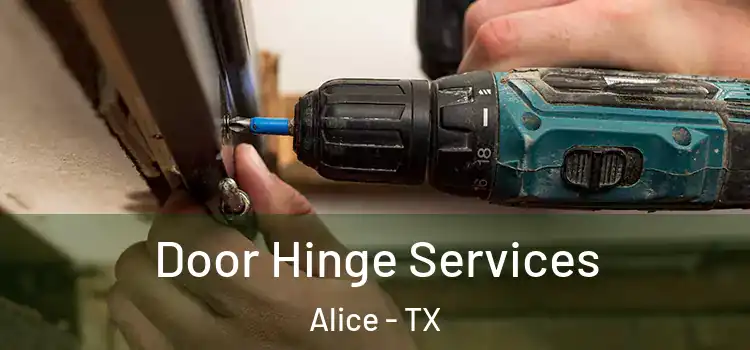 Door Hinge Services Alice - TX
