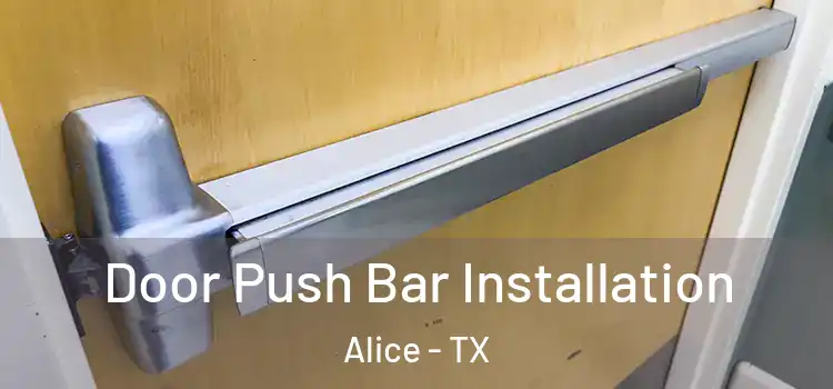 Door Push Bar Installation Alice - TX