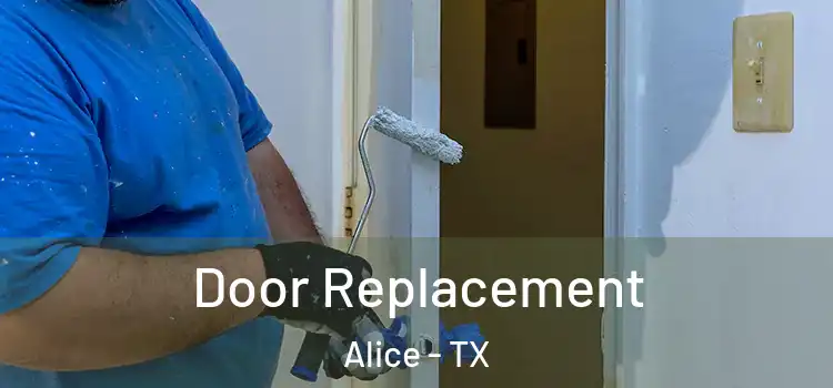 Door Replacement Alice - TX