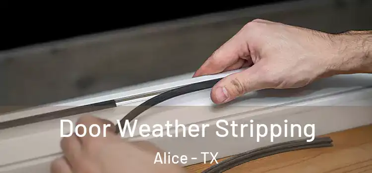 Door Weather Stripping Alice - TX
