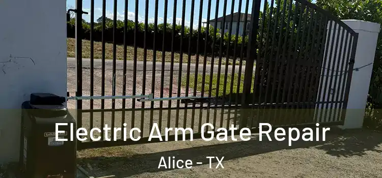 Electric Arm Gate Repair Alice - TX