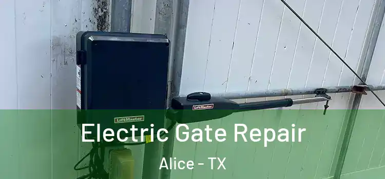 Electric Gate Repair Alice - TX