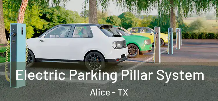 Electric Parking Pillar System Alice - TX