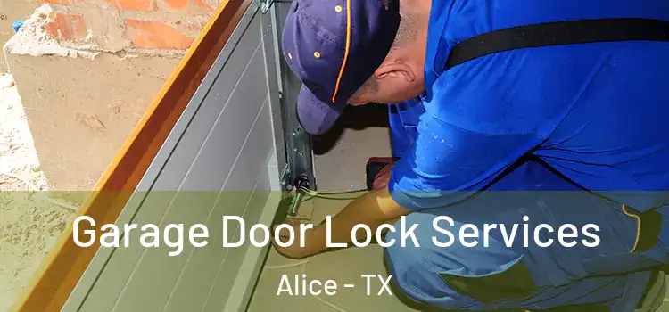 Garage Door Lock Services Alice - TX