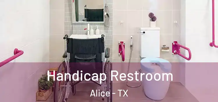 Handicap Restroom Alice - TX