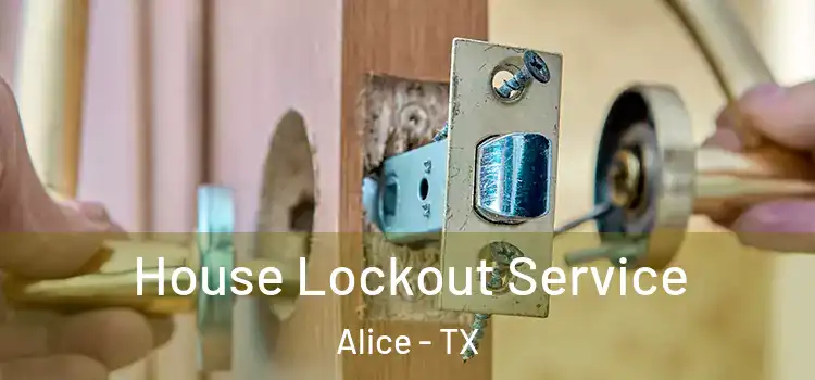 House Lockout Service Alice - TX