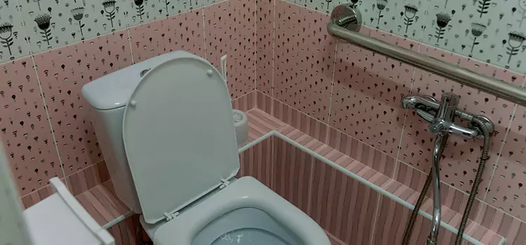 Meeting Diverse Needs With Accessible Restroom Solutions in Alice, TX
