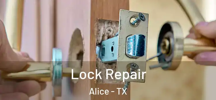 Lock Repair Alice - TX