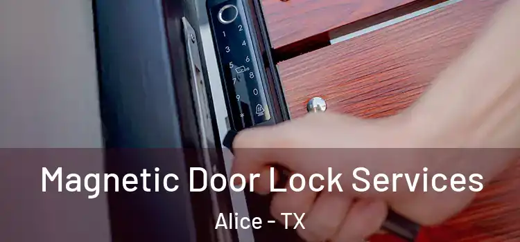 Magnetic Door Lock Services Alice - TX