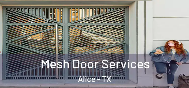 Mesh Door Services Alice - TX