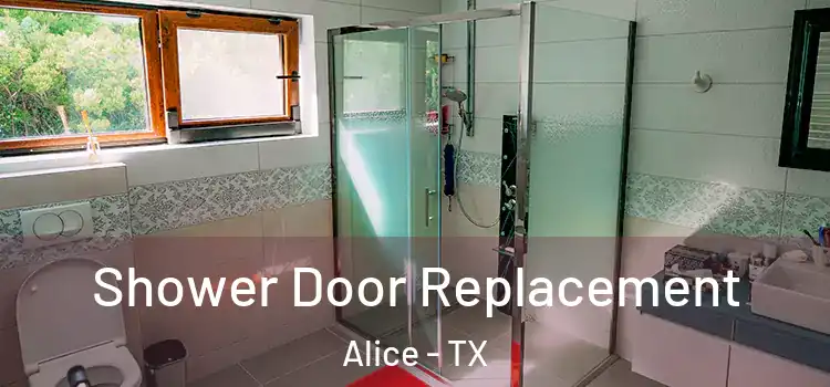Shower Door Replacement Alice - TX