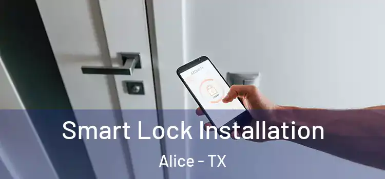 Smart Lock Installation Alice - TX